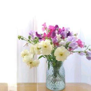 スイートピー,ラナンキュラス,ラナンキュラス　ラックス,ポンポンラナンキュラス,窓辺の画像