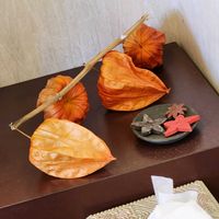 ホオズキの画像