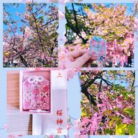 サクラ,河津桜,カワヅザクラ,可愛い〜♡,ピンクの花の画像