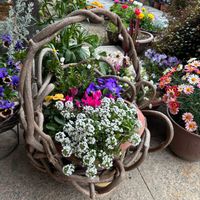 寄せ植え,手作り雑貨,GSに感謝。,編み編み鉢カバー,チーム岐阜の画像