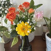 チューリップ,バラ,マーガレット,切り花達の画像