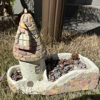 多肉,寄せ植え,多肉植物,可愛い,植木鉢の画像