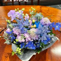 デルフィニウム,キュンキュン乙女倶楽部,HTC,【こまち多肉部】,平和を願う☆の画像