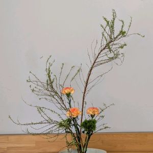 カーネーション,ゆきやなぎ,グリーントリュフ(てまりそう),いけばな,今日のお花の画像