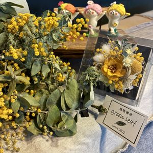 ミモザ,コンコンブル ,もうすぐ卒業式,etsuさんありがとう,和室の画像