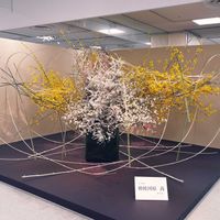 いけばな,ピンク,黄色,春のお花,緑色の画像