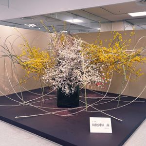 いけばな,ピンク,黄色,春のお花,緑色の画像