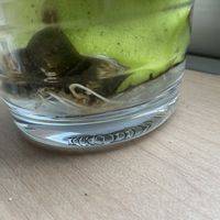 ブロッコリー,家庭菜園の画像