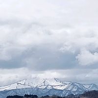 オダマキ,ラベンダー,土曜はお空の発表会,バイクでキョロキョロお出掛けの画像