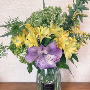 いけばな,ガーデニング初心者の画像