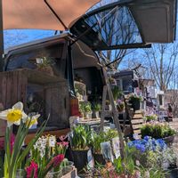 寄せ植え,ガーデニング,ナチュラルガーデン,コンテナガーデン,花のある暮らしの画像