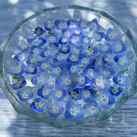 オオイヌノフグリ,スミレ,ホトケノザ,アオイスミレ,野草の画像