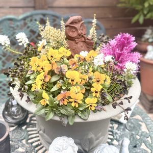 niwabito breeders collection,寄せ植え,鉢植え,ガーデニング,ウィッチフォードの画像