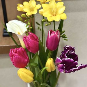 カラー,チューリップ,フリージア,花瓶,お花の定期便の画像
