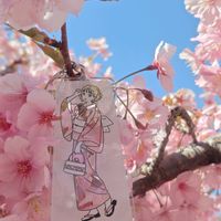 ヒヤシンス,河津桜,大人の着せ替え人形,さくら 桜 サクラ,今日のお花の画像