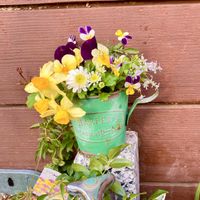 お庭の花,花のある暮らし,GSに感謝。,平和を願う☆,わんこと暮らすの画像