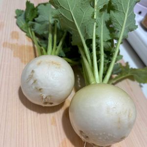 キッチンハーブ,キッチン,小さな庭,家庭菜園,庭の画像