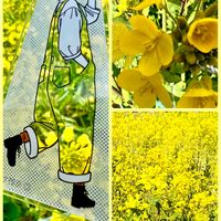 菜の花,プリムラ　ジュリアン,大人の着せ替え人形,GSのみなさんに感謝♡,キュンキュン乙女倶楽部の画像