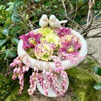 花のある暮らし,薔薇のある暮らし♡,今日のお庭,ばら バラ 薔薇,薔薇が好き❤の画像