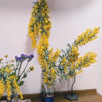 ミモザ,ドライフラワー,玄関の画像