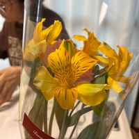 アルストロメリアの画像