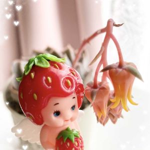 可愛い〜♡,季節の花,咲きました,多肉植物のある暮らし,とってもキレイ♡の画像