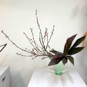 サクラ,ドラセナ,いけばな,草月流の画像