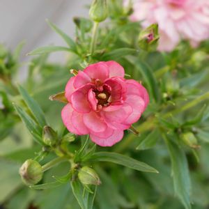 福岡,備忘録,癒し…,記録,NO GREEN  NO LIFEの画像