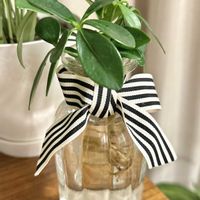 シェフレラ,カポック,リビング・ダイニングの画像