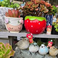 アジサイ,サニコさんから❤️,サニコさんから❤️,サニコさんから❤️,koaraさんから❤️の画像