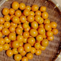 キッチンの画像