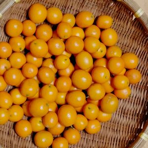 キッチンの画像