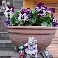 玄関アプローチの画像