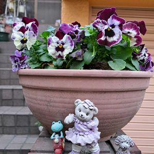 玄関アプローチの画像