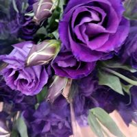 トルコキキョウ,愛しの紫♡,濃いい色の花がいいな,懐かしい福島の空の画像