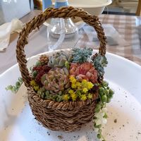 多肉,寄せ植え,ワークショップ の画像