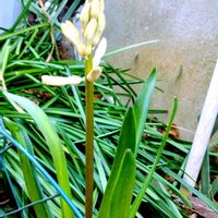 アプローチの画像