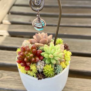 玄関アプローチの画像