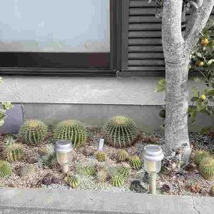 軒下ガーデンの画像