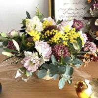 オリーブ,クリスマスローズ,ユーカリ ポポラス,花のある暮らし,クリスマスローズ・ダブルの画像