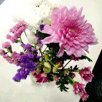 ダリア,デンファレ,仏壇の供花,クセニアの画像