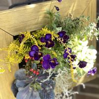 ガーデニング,緑のある暮らし,庭作り,庭の画像