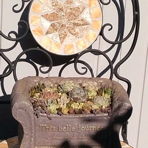 エケベリア,七福神,多肉植物いろいろ,多肉植物,セダム属の画像