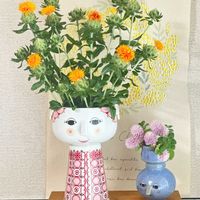 センニチコウ,ベニバナ,アロマティカス,ビタミンカラー,元気もらえるの画像