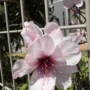 アーモンド,チーム愛知,２０２０年５月同期,お出かけ先の画像