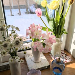 アルストロメリア,チューリップ,チューリップ,マトリカリア,八重咲きチューリップの画像