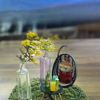 サボテン,サボテン マミラリア,ミモザ,ミモザ,マミラリアの何かの画像