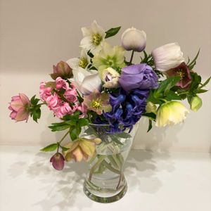 アネモネ,クリスマスローズ,ヒヤシンス,成長記録,花のある暮らしの画像