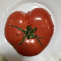 トマト,キッチンの画像