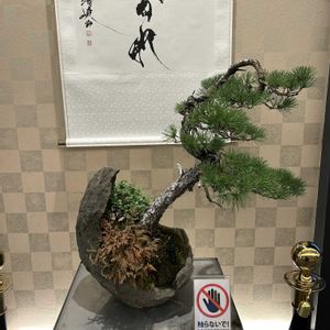 羽田空港国際ターミナル,お出かけ先の画像